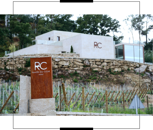 La UNED celebra en Castrelo de Miño un curso sobre los vinos blancos de O Ribeiro